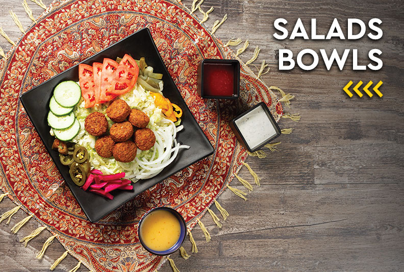 Pita Land Salad Bowls